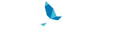 Azores Airlines